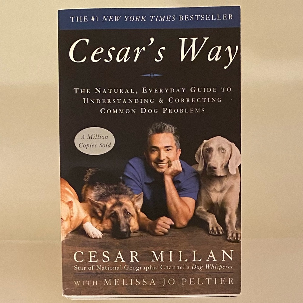 Cesar’s Way By Cesar Millan
